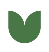 Grafismo 1